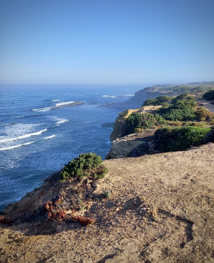 photo 5999016951491447834 y