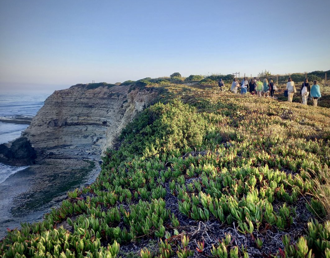 photo 5999016951491447836 y