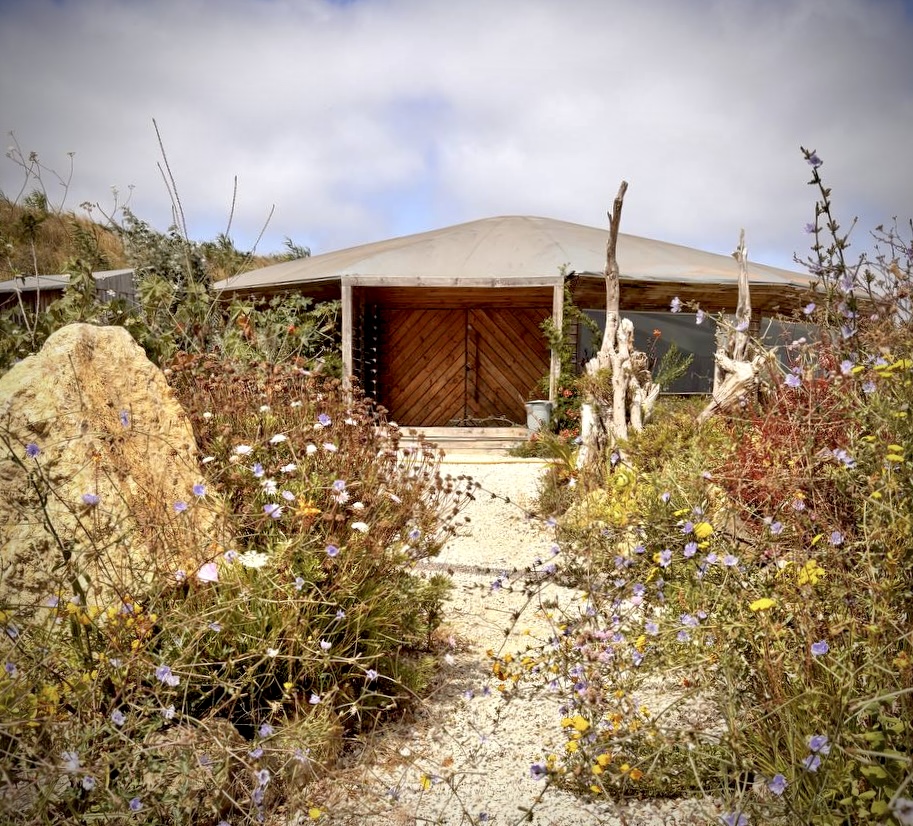 photo 6008094884562585729 y