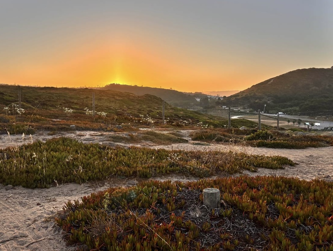 photo 6008094884562585746 y